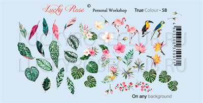 LUCKY ROSE True Colour - 58 4603300350071