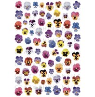 Слайдер-дизайн Crazy Shine Nails mini: Анютины Глазки 4607790910104