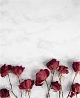 Фотофон  fn107 2041510743191