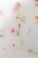 Гель Lakres Modeling Gel Flora Delicate 1, 15 мл 2000000075846