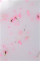 Гель Lakres Modeling Gel Flora Delicate 2, 15 мл 2000000075853