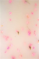 Гель Lakres Modeling Gel Flora Delicate 3, 15 мл 2000000075860
