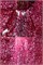 Гель-лак Lakres Platinum Cat 6, 5 ml 2000000048338