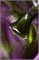 Гель-лак Lakres Blackcurrent Cat Eye, 5 ml 2000000056555