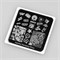 -30% Пластина Swanky Stamping 124 маленькая 6*6 4603745697694